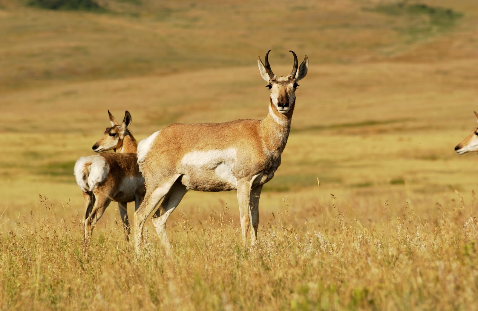 https://d3r8gwkgo0io6y.cloudfront.net/upload/Periyar Wildlife Sanctuary 03.jpg